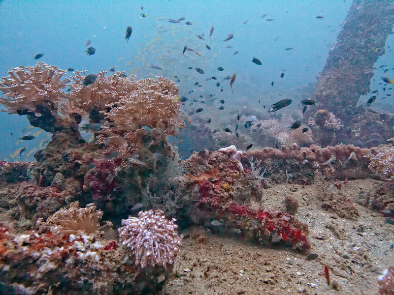 Wreck, Japanese Patrolboat
